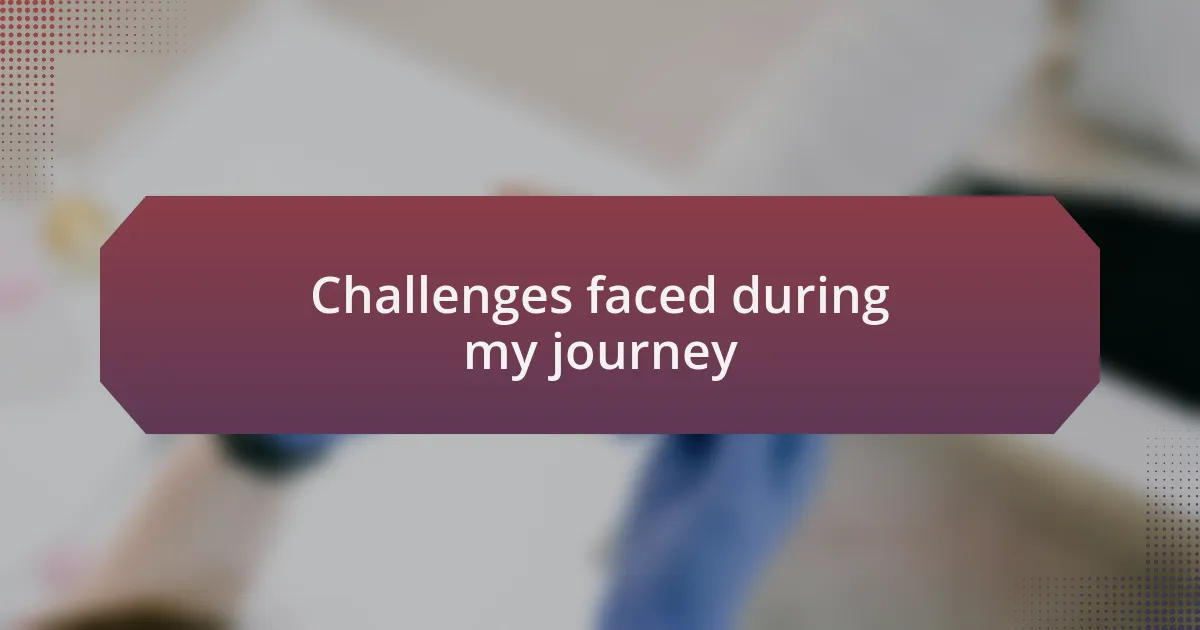 Challenges faced during my journey