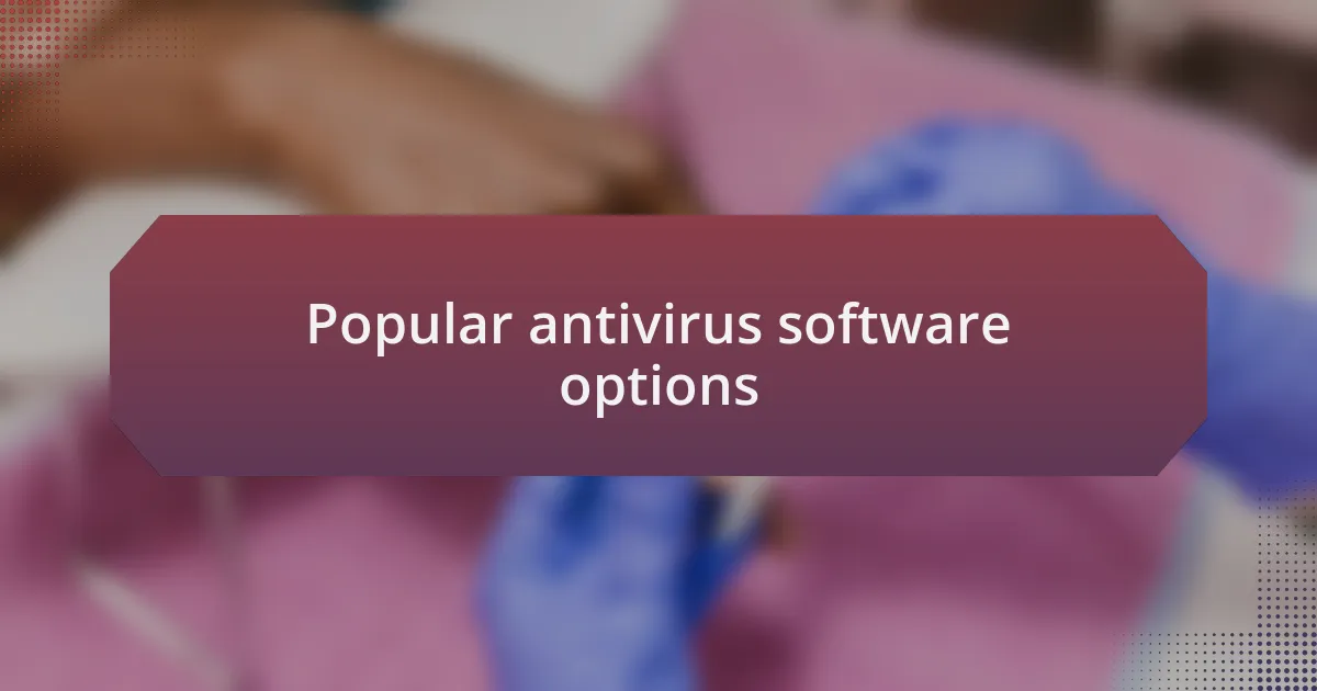 Popular antivirus software options